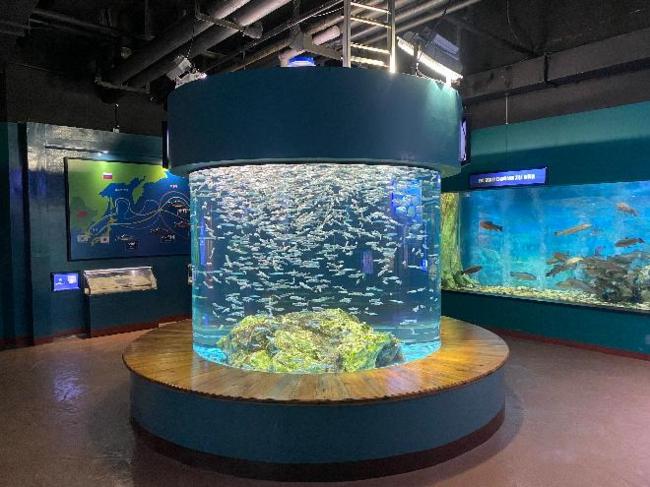 2.민물고기생태체험관.jpeg